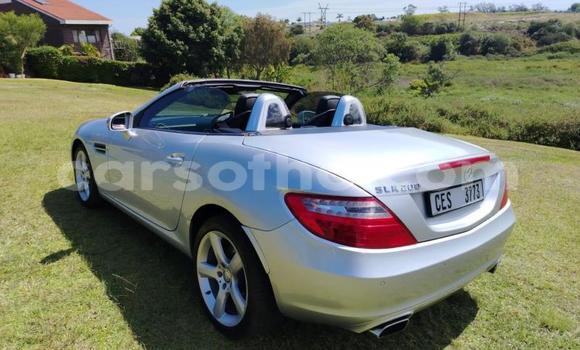 Acheter Occasion Voiture Mercedes-Benz SLK–Class Gris à Maseru, Maseru Acheter Occasion Voiture Mercedes-Benz SLK–Class Gris à Maseru, Maseru