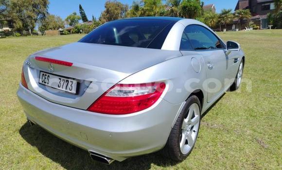 Acheter Occasion Voiture Mercedes-Benz SLK–Class Gris à Maseru, Maseru Acheter Occasion Voiture Mercedes-Benz SLK–Class Gris à Maseru, Maseru