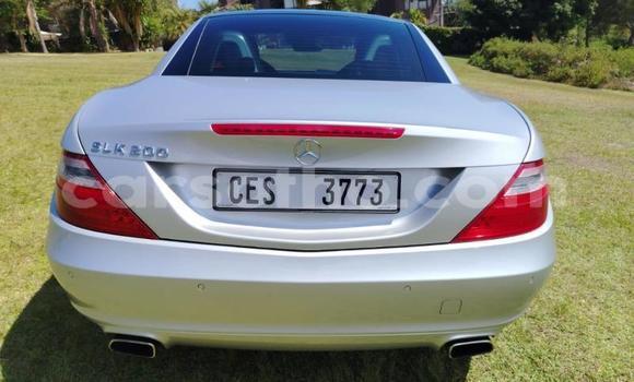 Acheter Occasion Voiture Mercedes-Benz SLK–Class Gris à Maseru, Maseru Acheter Occasion Voiture Mercedes-Benz SLK–Class Gris à Maseru, Maseru