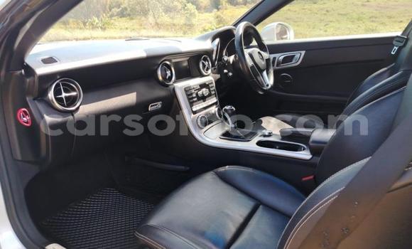 Acheter Occasion Voiture Mercedes-Benz SLK–Class Gris à Maseru, Maseru Acheter Occasion Voiture Mercedes-Benz SLK–Class Gris à Maseru, Maseru