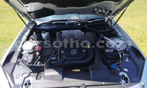 Acheter Occasion Voiture Mercedes-Benz SLK–Class Gris à Maseru, Maseru Acheter Occasion Voiture Mercedes-Benz SLK–Class Gris à Maseru, Maseru