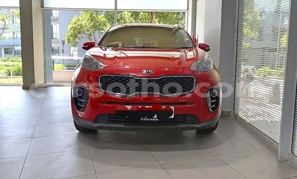 Acheter Occasion Voiture Kia Sportage Rouge à Maseru, Maseru