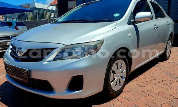 اشتري مستعمل Toyota Corolla Silver سيارة في Maseru في Maseru اشتري مستعمل Toyota Corolla Silver سيارة في Maseru في Maseru