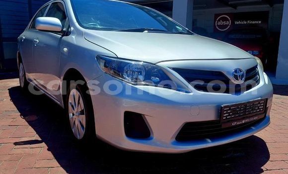 اشتري مستعمل Toyota Corolla Silver سيارة في Maseru في Maseru اشتري مستعمل Toyota Corolla Silver سيارة في Maseru في Maseru