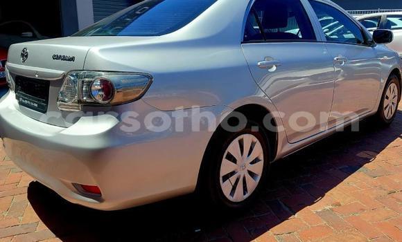 اشتري مستعمل Toyota Corolla Silver سيارة في Maseru في Maseru اشتري مستعمل Toyota Corolla Silver سيارة في Maseru في Maseru
