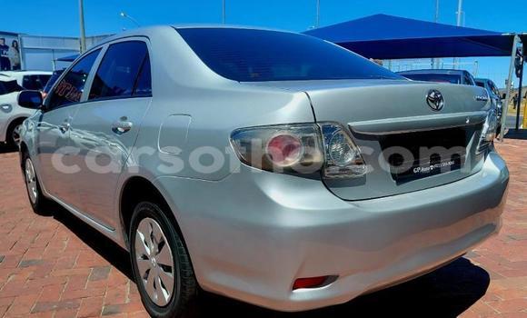 اشتري مستعمل Toyota Corolla Silver سيارة في Maseru في Maseru اشتري مستعمل Toyota Corolla Silver سيارة في Maseru في Maseru
