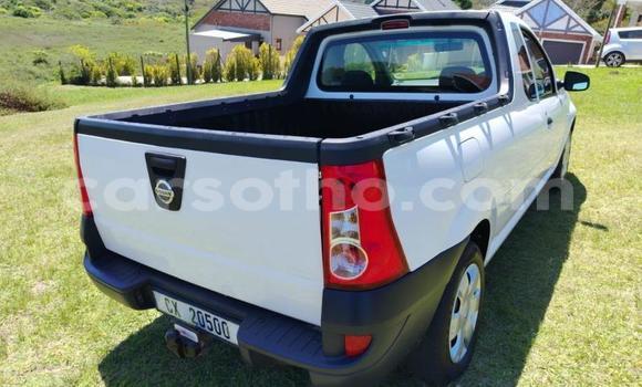 اشتري مستعمل Nissan NP 300 White سيارة في Maseru في Maseru اشتري مستعمل Nissan NP 300 White سيارة في Maseru في Maseru