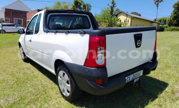 اشتري مستعمل Nissan NP 300 White سيارة في Maseru في Maseru اشتري مستعمل Nissan NP 300 White سيارة في Maseru في Maseru