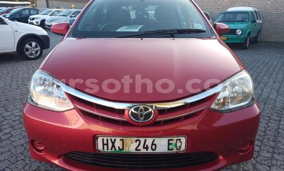 اشتري مستعمل Toyota Etios Red سيارة في Maseru في Maseru اشتري مستعمل Toyota Etios Red سيارة في Maseru في Maseru