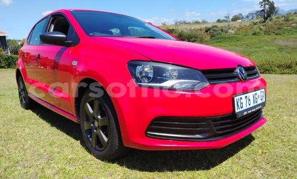 اشتري مستعمل Volkswagen Polo Red سيارة في Maseru في Maseru اشتري مستعمل Volkswagen Polo Red سيارة في Maseru في Maseru