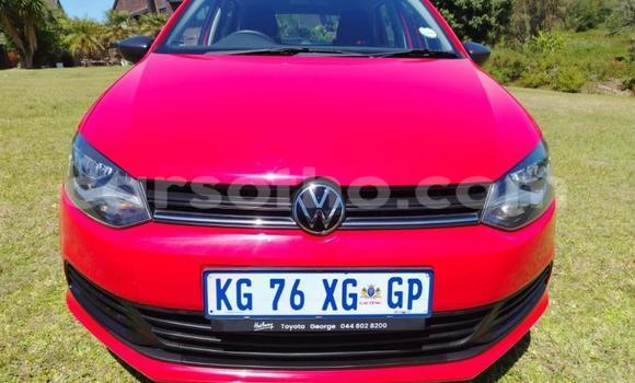 اشتري مستعمل Volkswagen Polo Red سيارة في Maseru في Maseru اشتري مستعمل Volkswagen Polo Red سيارة في Maseru في Maseru