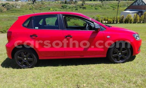 اشتري مستعمل Volkswagen Polo Red سيارة في Maseru في Maseru اشتري مستعمل Volkswagen Polo Red سيارة في Maseru في Maseru