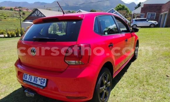 اشتري مستعمل Volkswagen Polo Red سيارة في Maseru في Maseru اشتري مستعمل Volkswagen Polo Red سيارة في Maseru في Maseru