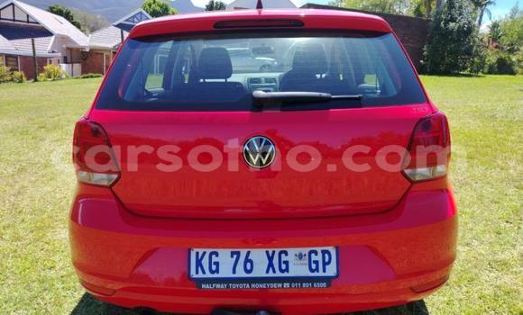 اشتري مستعمل Volkswagen Polo Red سيارة في Maseru في Maseru اشتري مستعمل Volkswagen Polo Red سيارة في Maseru في Maseru