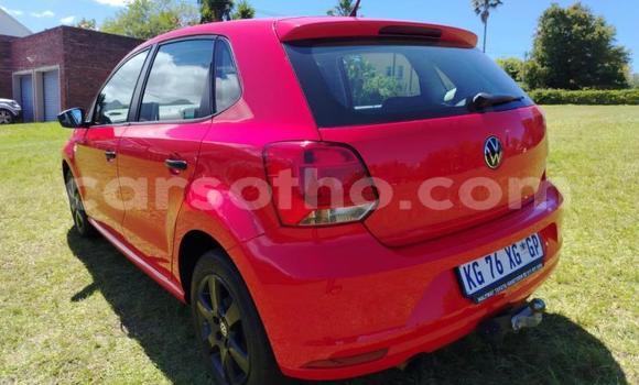 اشتري مستعمل Volkswagen Polo Red سيارة في Maseru في Maseru اشتري مستعمل Volkswagen Polo Red سيارة في Maseru في Maseru