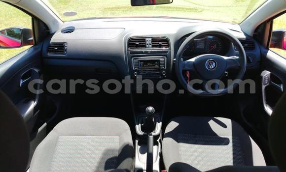 اشتري مستعمل Volkswagen Polo Red سيارة في Maseru في Maseru اشتري مستعمل Volkswagen Polo Red سيارة في Maseru في Maseru