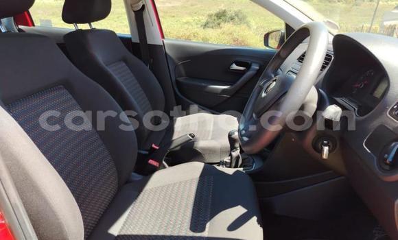 اشتري مستعمل Volkswagen Polo Red سيارة في Maseru في Maseru اشتري مستعمل Volkswagen Polo Red سيارة في Maseru في Maseru