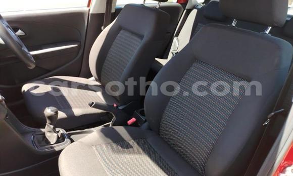 اشتري مستعمل Volkswagen Polo Red سيارة في Maseru في Maseru اشتري مستعمل Volkswagen Polo Red سيارة في Maseru في Maseru