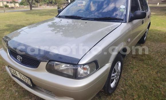 اشتري مستعمل Toyota Tercel Other سيارة في Maseru في Maseru اشتري مستعمل Toyota Tercel Other سيارة في Maseru في Maseru