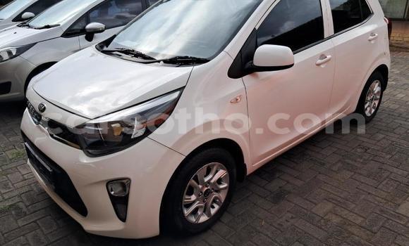 Acheter Occasion Voiture Kia Picanto Blanc à Maseru, Maseru Acheter Occasion Voiture Kia Picanto Blanc à Maseru, Maseru