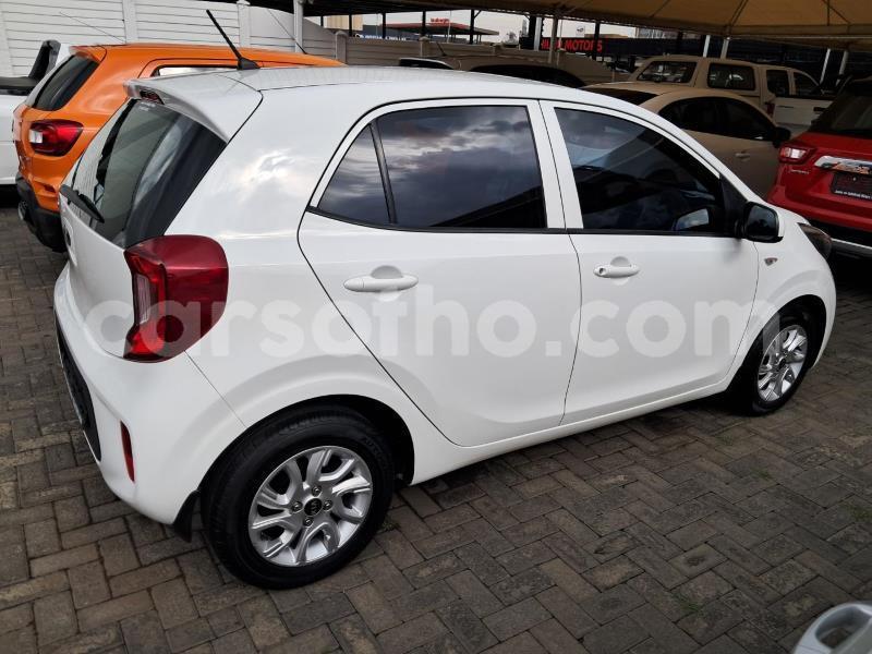 Big with watermark kia picanto maseru maseru 30816