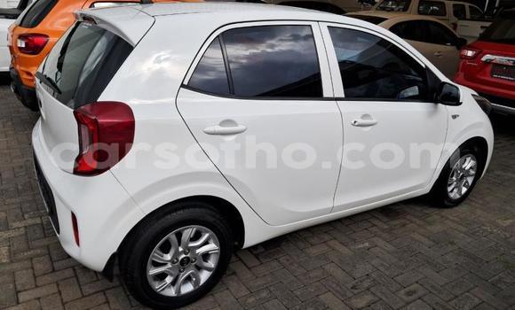 Acheter Occasion Voiture Kia Picanto Blanc à Maseru, Maseru Acheter Occasion Voiture Kia Picanto Blanc à Maseru, Maseru