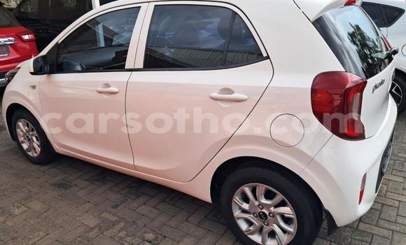 Acheter Occasion Voiture Kia Picanto Blanc à Maseru, Maseru Acheter Occasion Voiture Kia Picanto Blanc à Maseru, Maseru