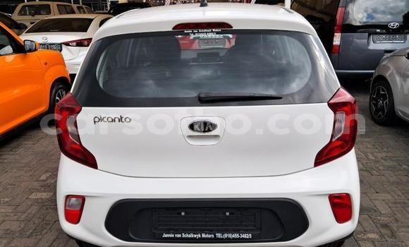 Acheter Occasion Voiture Kia Picanto Blanc à Maseru, Maseru Acheter Occasion Voiture Kia Picanto Blanc à Maseru, Maseru