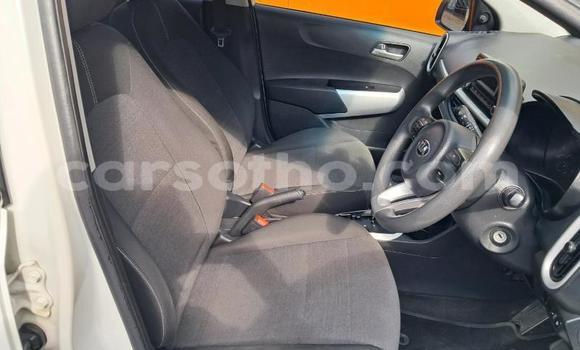 Acheter Occasion Voiture Kia Picanto Blanc à Maseru, Maseru Acheter Occasion Voiture Kia Picanto Blanc à Maseru, Maseru