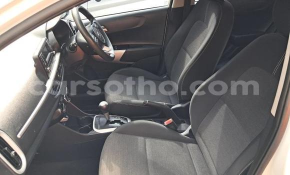 Acheter Occasion Voiture Kia Picanto Blanc à Maseru, Maseru Acheter Occasion Voiture Kia Picanto Blanc à Maseru, Maseru