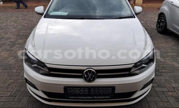 Sayi Na hannu Volkswagen Polo White Mota in Maseru a Maseru