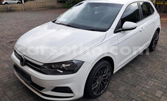 Buy Used Volkswagen Polo White Car in Maseru in Maseru Buy Used Volkswagen Polo White Car in Maseru in Maseru