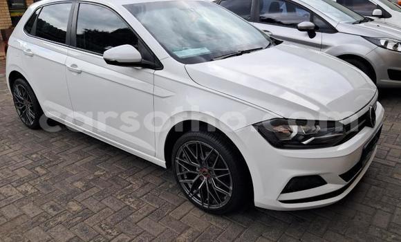 Buy Used Volkswagen Polo White Car in Maseru in Maseru Buy Used Volkswagen Polo White Car in Maseru in Maseru