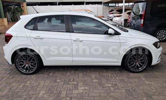 Buy Used Volkswagen Polo White Car in Maseru in Maseru Buy Used Volkswagen Polo White Car in Maseru in Maseru