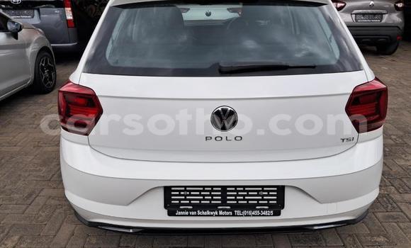 Buy Used Volkswagen Polo White Car in Maseru in Maseru Buy Used Volkswagen Polo White Car in Maseru in Maseru