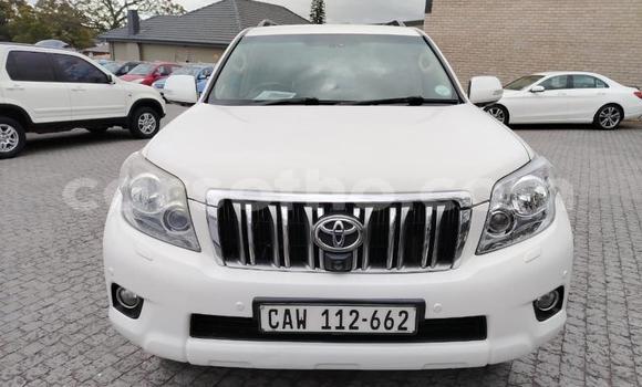 اشتري مستعمل Toyota Land Cruiser Prado White سيارة في Maseru في Maseru اشتري مستعمل Toyota Land Cruiser Prado White سيارة في Maseru في Maseru