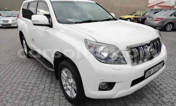 اشتري مستعمل Toyota Land Cruiser Prado White سيارة في Maseru في Maseru اشتري مستعمل Toyota Land Cruiser Prado White سيارة في Maseru في Maseru