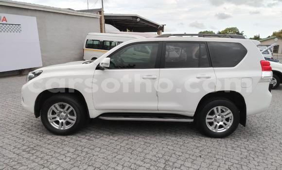 اشتري مستعمل Toyota Land Cruiser Prado White سيارة في Maseru في Maseru اشتري مستعمل Toyota Land Cruiser Prado White سيارة في Maseru في Maseru