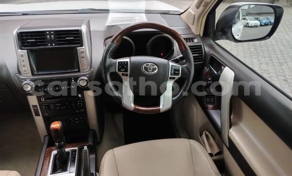 اشتري مستعمل Toyota Land Cruiser Prado White سيارة في Maseru في Maseru اشتري مستعمل Toyota Land Cruiser Prado White سيارة في Maseru في Maseru