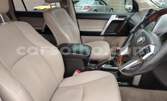 اشتري مستعمل Toyota Land Cruiser Prado White سيارة في Maseru في Maseru اشتري مستعمل Toyota Land Cruiser Prado White سيارة في Maseru في Maseru