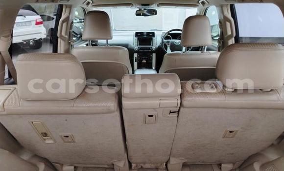 اشتري مستعمل Toyota Land Cruiser Prado White سيارة في Maseru في Maseru اشتري مستعمل Toyota Land Cruiser Prado White سيارة في Maseru في Maseru