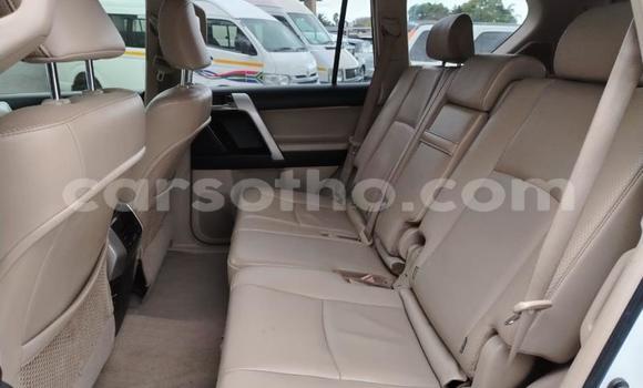 اشتري مستعمل Toyota Land Cruiser Prado White سيارة في Maseru في Maseru اشتري مستعمل Toyota Land Cruiser Prado White سيارة في Maseru في Maseru