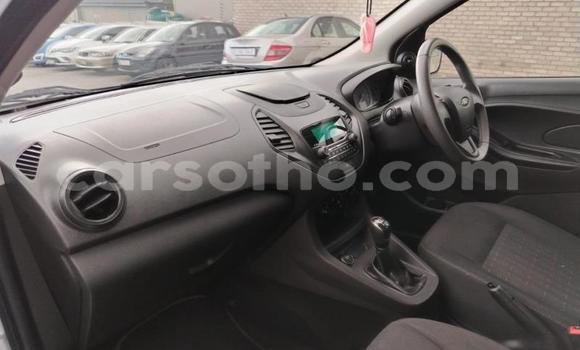 اشتري مستعمل Ford Fiesta Silver سيارة في Maseru في Maseru اشتري مستعمل Ford Fiesta Silver سيارة في Maseru في Maseru