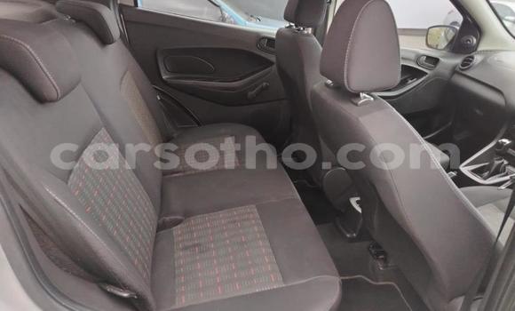 اشتري مستعمل Ford Fiesta Silver سيارة في Maseru في Maseru اشتري مستعمل Ford Fiesta Silver سيارة في Maseru في Maseru