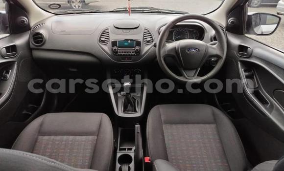 اشتري مستعمل Ford Fiesta Silver سيارة في Maseru في Maseru اشتري مستعمل Ford Fiesta Silver سيارة في Maseru في Maseru
