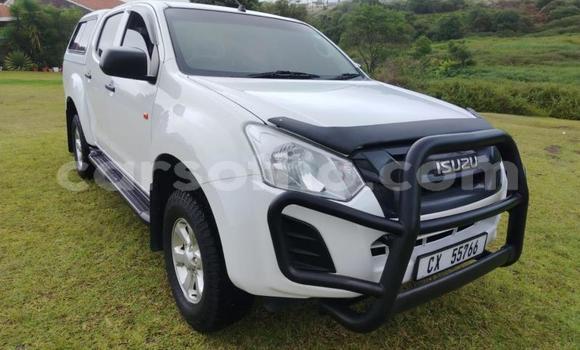 اشتري مستعمل Isuzu KB White سيارة في Maseru في Maseru اشتري مستعمل Isuzu KB White سيارة في Maseru في Maseru