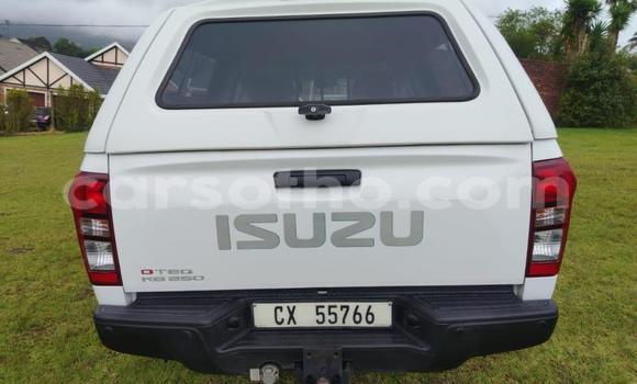 اشتري مستعمل Isuzu KB White سيارة في Maseru في Maseru اشتري مستعمل Isuzu KB White سيارة في Maseru في Maseru