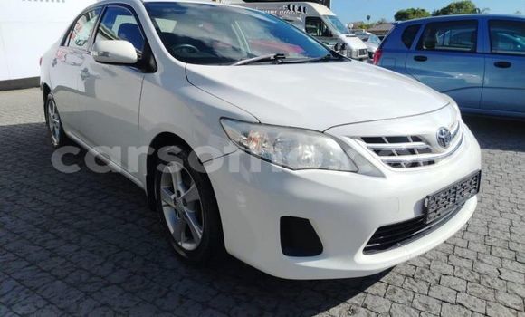اشتري مستعمل Toyota Corolla White سيارة في Maseru في Maseru اشتري مستعمل Toyota Corolla White سيارة في Maseru في Maseru
