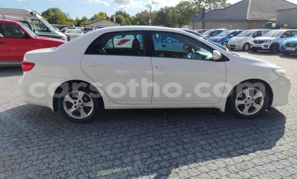 اشتري مستعمل Toyota Corolla White سيارة في Maseru في Maseru اشتري مستعمل Toyota Corolla White سيارة في Maseru في Maseru