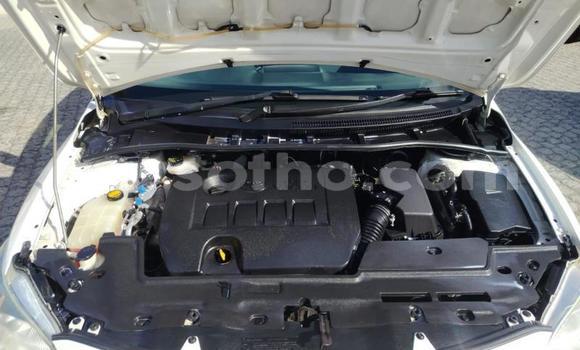 اشتري مستعمل Toyota Corolla White سيارة في Maseru في Maseru اشتري مستعمل Toyota Corolla White سيارة في Maseru في Maseru